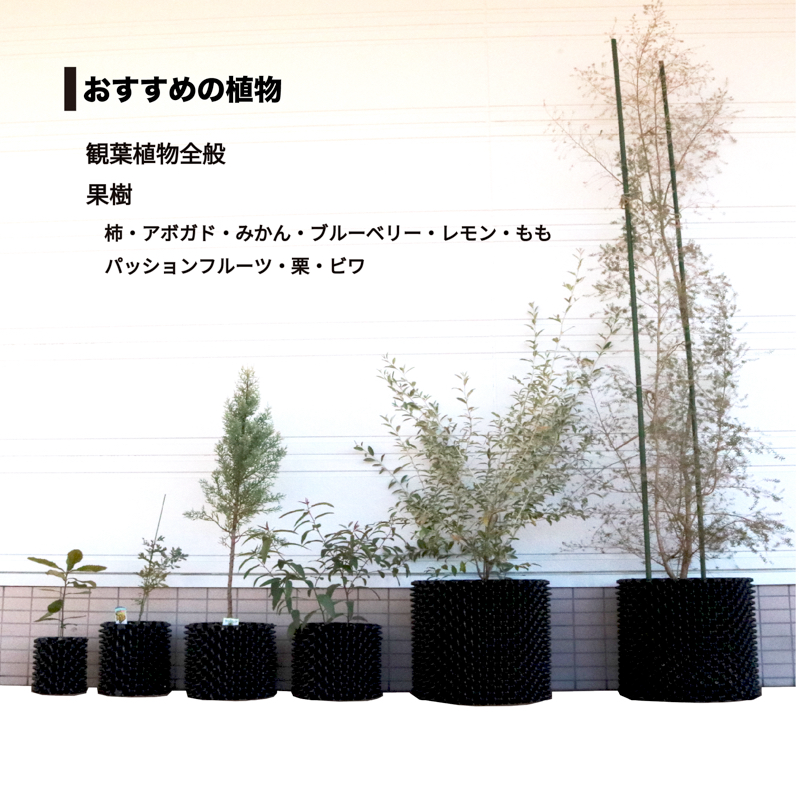 コメント画像2