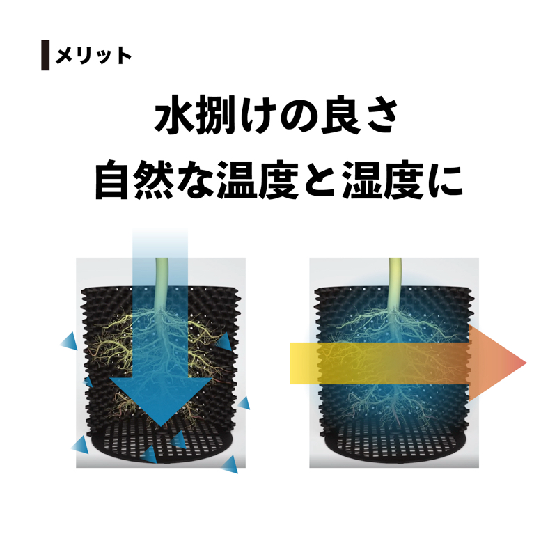 コメント画像3