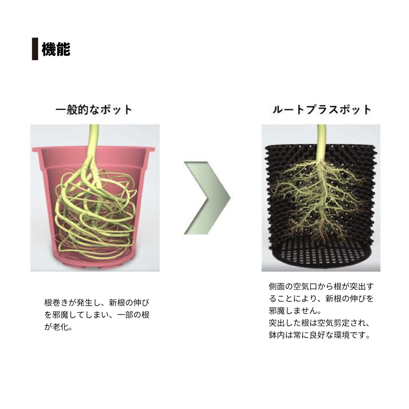 コメント画像5
