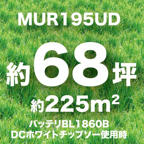 コメント画像8
