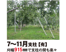 コメント画像14