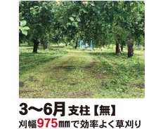 コメント画像1