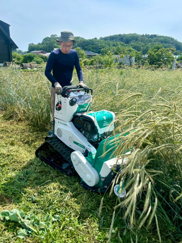 コメント画像2