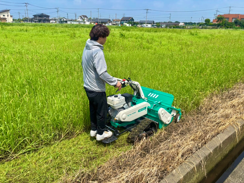 コメント画像3