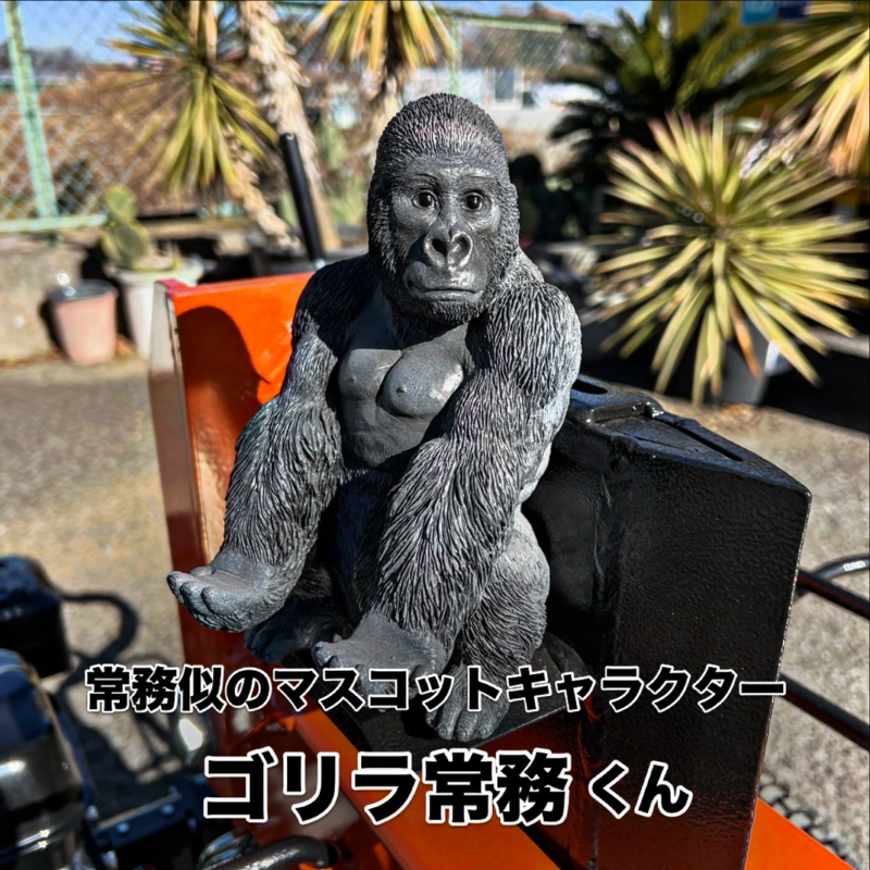 コメント画像2